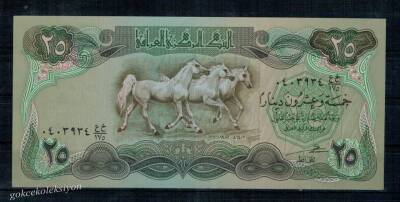 Irak 25 Dinar 1982 Çil YKP265 - 1