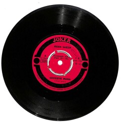 Ireen Sheer - Goodbye Mama - Sheeries - Oh! Nana (106.5) PLK16646 - 1
