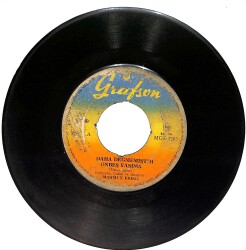 Mahmut Erdal - Daha Değmemiştim Onbeş Yaşıma / Nazlı Yarin Dilindeki Lezzeti Plak (10/6) PLK25408 - Gökçekoleksiyon