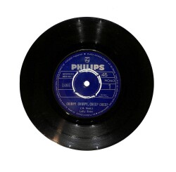 Lally Stott - Chirpy Chirpy Cheep Cheep / Henry James (10/7) PLK25762 - Gökçekoleksiyon