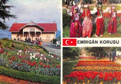 İstanbul Emirgan Korusu Temalı Kartpostal KRT15808 - Gökçekoleksiyon