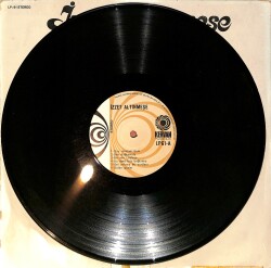 İzzet Altınmeşe - Dolan Gözler LP PLAK (10/6.5) PLK26499 - 3