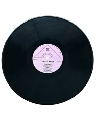 İzzet Altınmeşe - Düştüm Çıkmazlara LP Plak (10/7) PLK25450 - 2