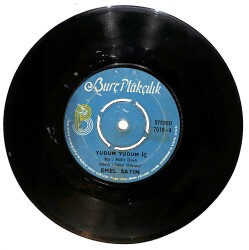 Emel Sayın - Yudum Yudum İç / Unut Git Sevme Beni Plak (10/6) PLK25227 - Gökçekoleksiyon