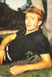 James Dean Kartpostal (Küçük Boy) KRT24238 - Gökçekoleksiyon