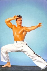 Jean Claude Van Damme Küçük Boy Kartpostal (15x10 cm) KRT12930 - Gökçekoleksiyon