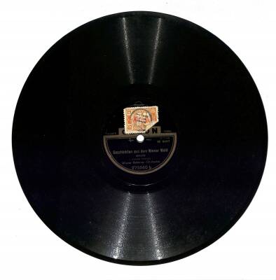 Johann Strauss - Geschicten Aus Dem Wiener Wald Dorfschwalben Aus Österreich TAŞ PLAK (107) PLK23091 - 2