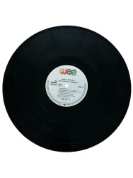Juliane Werding - Sehnsucht Ist Unheilbar LP Plak (10/7.5) PLK25452 - 2