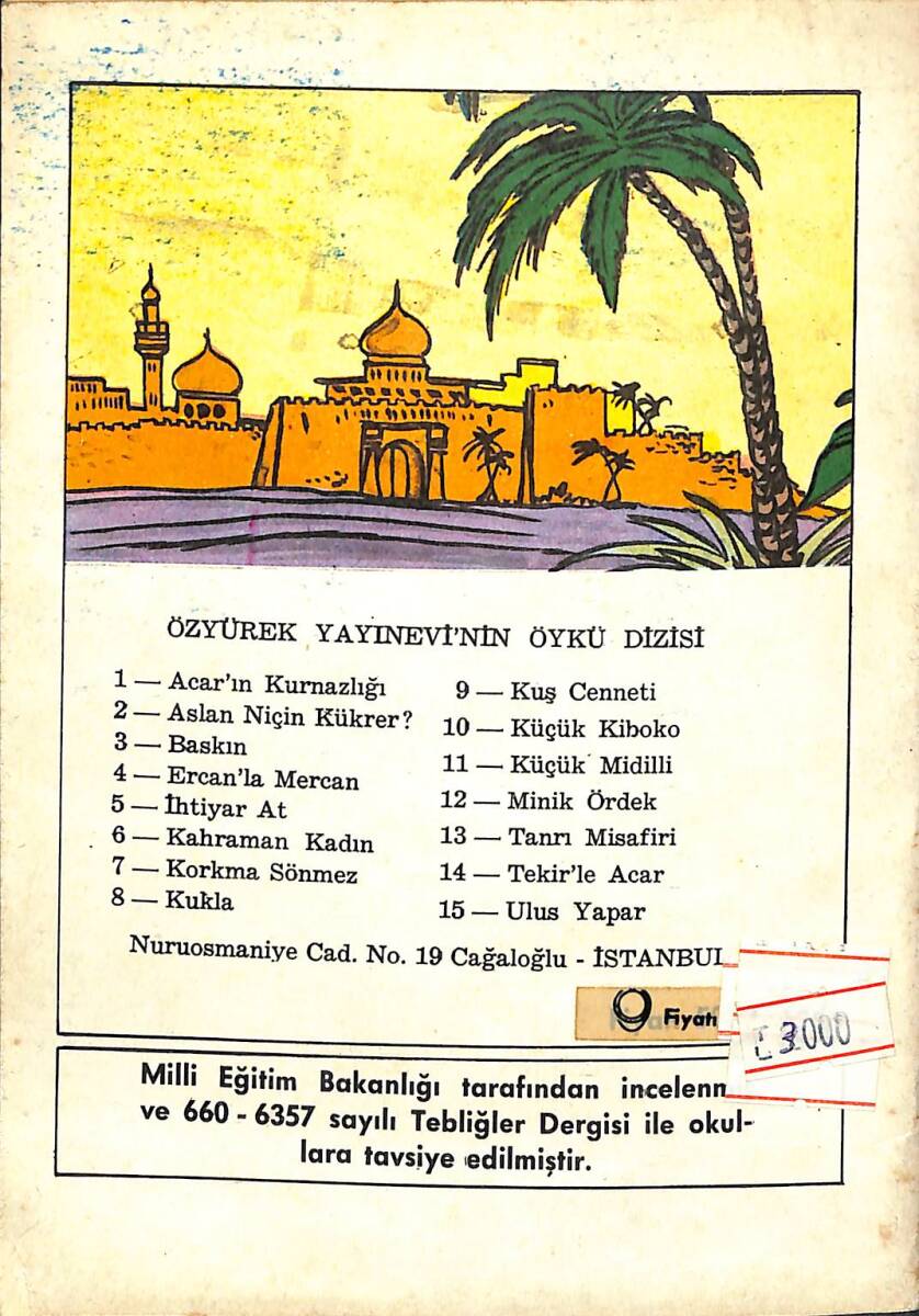 Kahraman Kadın NDR100152 - 3