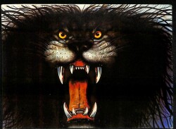 Kaplan Temalı Sticker KRT18634 - Gökçekoleksiyon