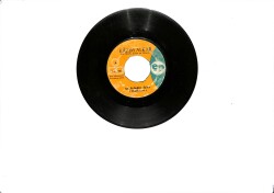 Kazım Alkar - Şu Feleğin İşine & Ağla Sevgilim PLAK (10/6.5) PLK26450 - 2