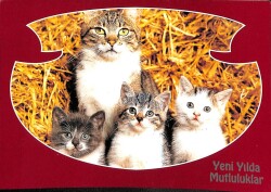 Kedi Temalı Yeniyıl Kartpostal KRT11731 - Gökçekoleksiyon