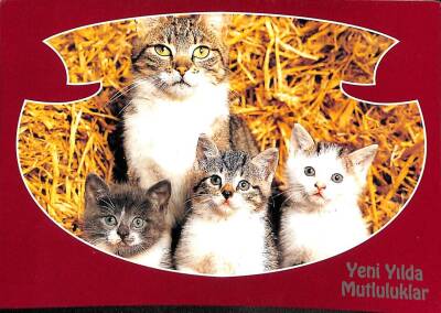 Kedi Temalı Yeniyıl Kartpostal KRT11731 - 1