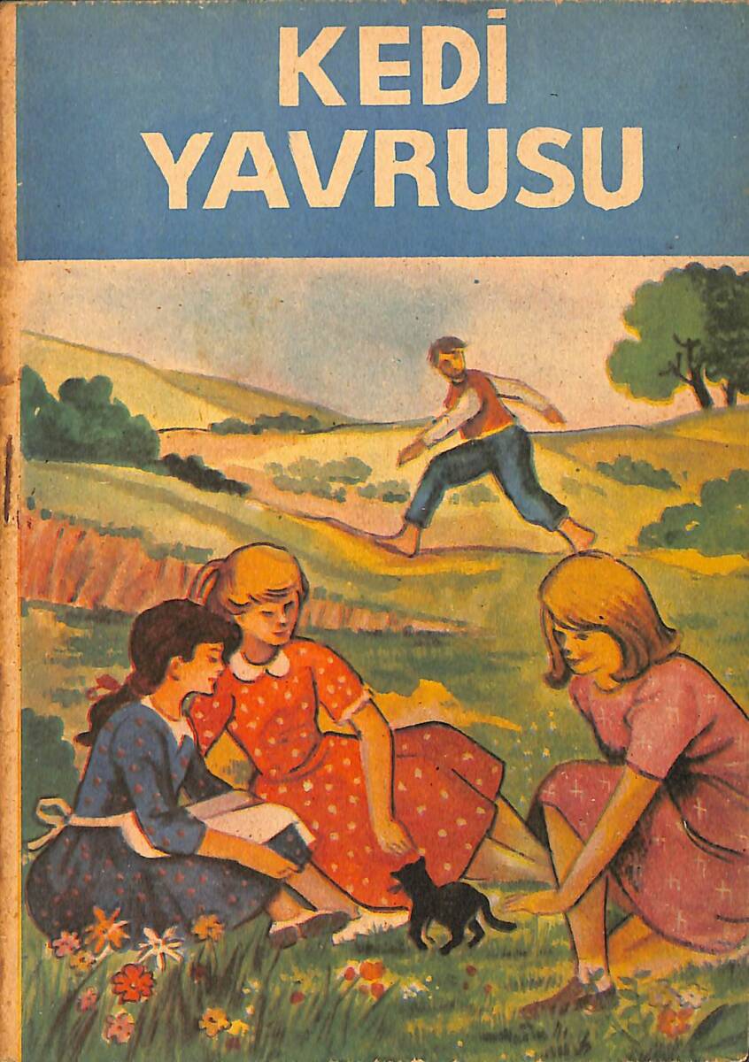 Kedi Yavrusu NDR101225 - 1
