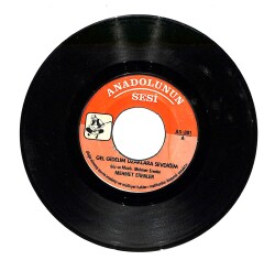 Mehmet Erenler - Gel Gidelim Uzaklara Sevdiğim / Ne Elmadır Ne De Nar PLAK (10/7) PLK23961 - Gökçekoleksiyon