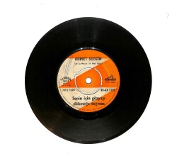 Ahmet Sezgin - Senin İçin Gözyaşı Dökmeye Değmez / Garib Bülbül PLAK (10/7.5) PLK24659 - Gökçekoleksiyon