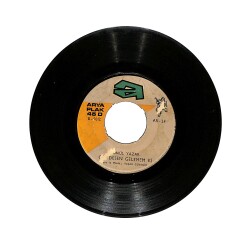 Gönül Yazar - Şıp Sevdi / Gel Desen Gelemem ki PLAK (10/7) PLK25743 - Gökçekoleksiyon