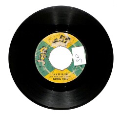 Kemal Uzlu - Ayrılık/ Gidelim Yar Dağlara PLAK (10/6.5) PLK21740 - 1