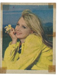 KENT Sakızı Artistler Serisi No 49 Filiz Akkın # SKZ1487 - 3