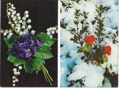 Kırmızı Gül ve Çiçekler 2li Kartpostal KRT10416 - 1
