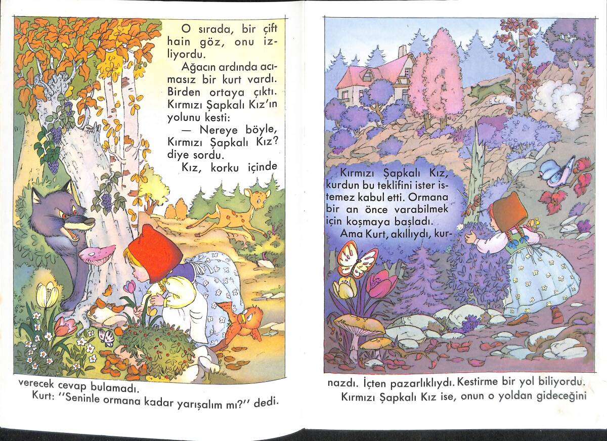 Kırmızı Şapkalı Kız NDR100127 - 2