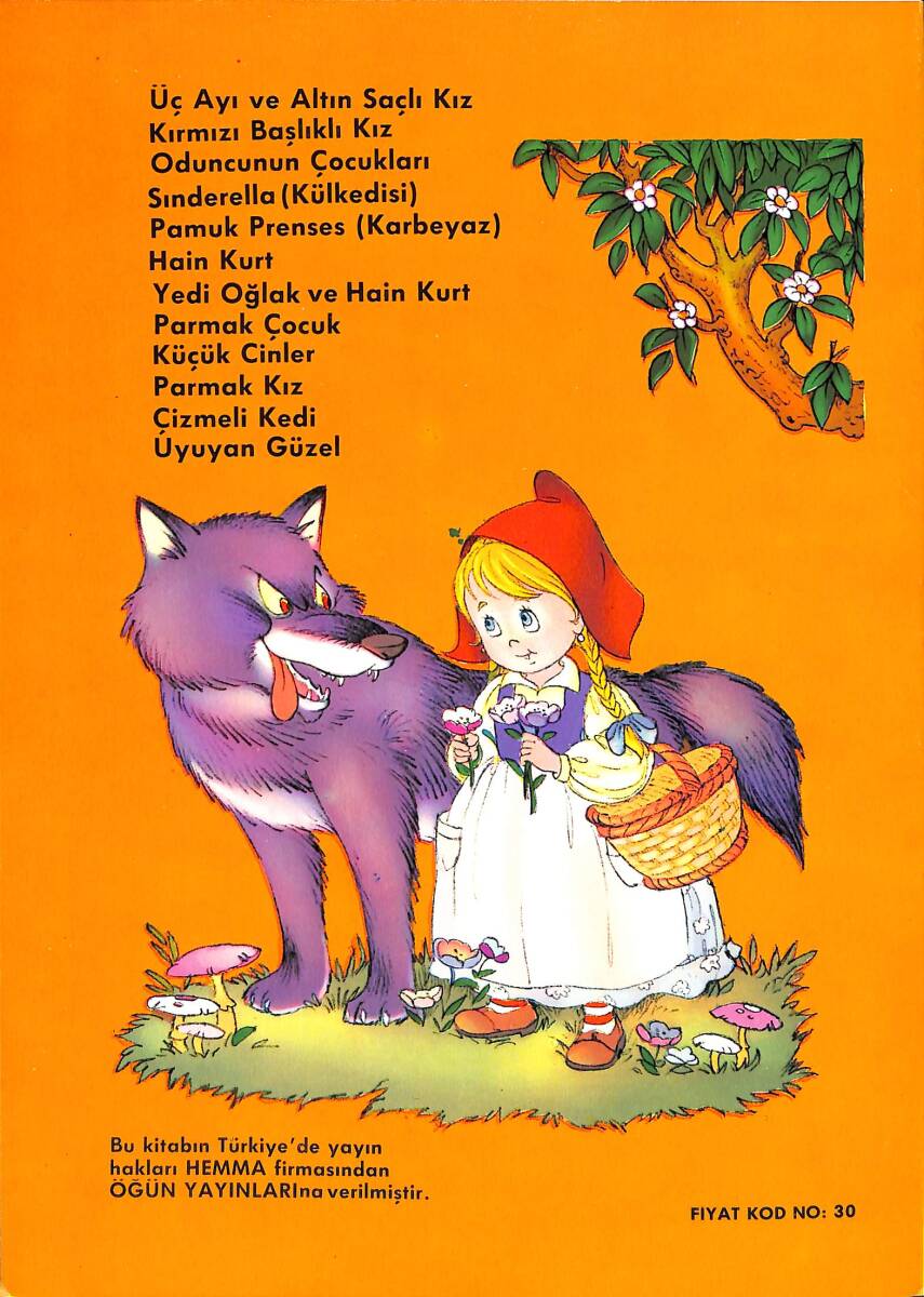 Kırmızı Şapkalı Kız NDR100127 - 3