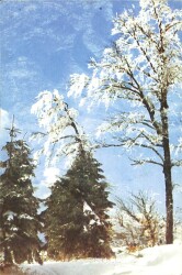 Kış Manzaralı Kartpostal KRT12416 - Gökçekoleksiyon