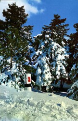 Kış Manzaralı Kartpostal KRT12494 - Gökçekoleksiyon