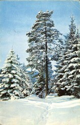 Kış Temalı Açılır Kapaklı Kartpostal KRT11917 - Gökçekoleksiyon