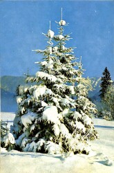 Kış Temalı Açılır Kapaklı Kartpostal KRT11922 - Gökçekoleksiyon