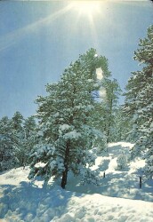 Kış Temalı Açılır Kapaklı Kartpostal KRT12390 - Gökçekoleksiyon