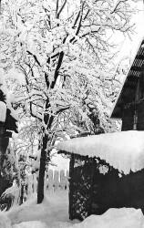 Kış Temalı Açılır Kapaklı Kartpostal KRT12392 - Gökçekoleksiyon