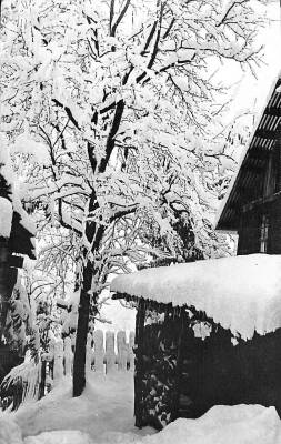 Kış Temalı Açılır Kapaklı Kartpostal KRT12392 - 1