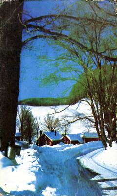 Kış Temalı Kartpostal KRT13906 - 1