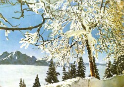 Kış Temalı Kartpostal KRT13908 - Gökçekoleksiyon