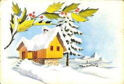 Kış Temalı Kartpostal KRT13961 - Gökçekoleksiyon