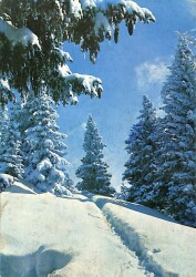 Kış Temalı Kartpostal KRT14522 - Gökçekoleksiyon