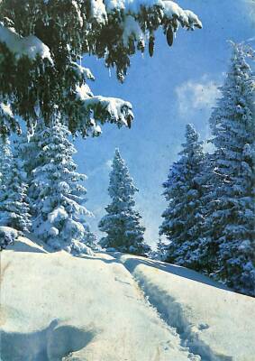 Kış Temalı Kartpostal KRT14522 - 1