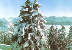 Kış Temalı Kartpostal KRT16914 - Gökçekoleksiyon