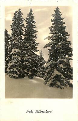 Kış Temalı Kartpostal KRT19530 - 1