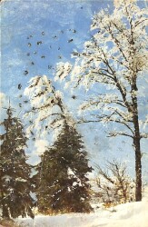 Kış Temalı Simli Kartpostal (Küçük Boy) KRT23414 - Gökçekoleksiyon