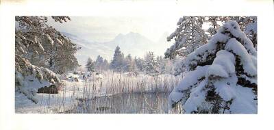 Kış Ve Yılbaşı Temalı Açılır Kapak Kartpostal KRT15937 - 1
