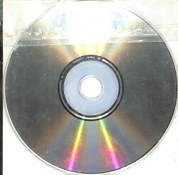 Kızarmış Yeşil Domatesler VCD (108.5) VCD23244 - 4