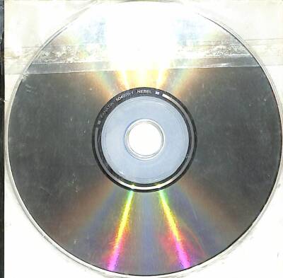 Kızarmış Yeşil Domatesler VCD (108.5) VCD23244 - 4