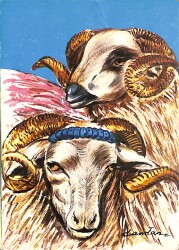 Koç Kartpostalı KRT2624 - Gökçekoleksiyon