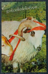 Koç Kartpostalı KRT2632 - Gökçekoleksiyon