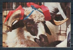 Koç Kartpostalı KRT2641 - Gökçekoleksiyon