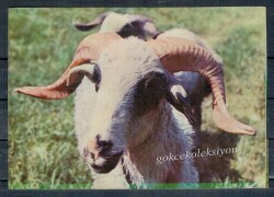Koç Kartpostalı KRT2661 - Gökçekoleksiyon