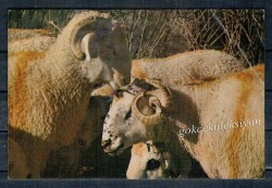 Koç Kartpostalı KRT2663 - Gökçekoleksiyon