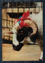 Koç Kartpostalı KRT2666 - Gökçekoleksiyon